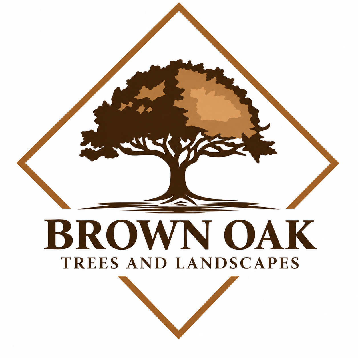 Brown Oak Trees and Landscapes